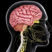 Neurology